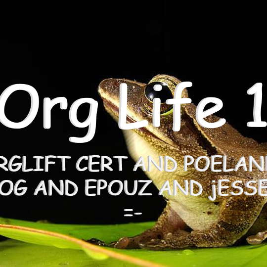 FOrg life 16