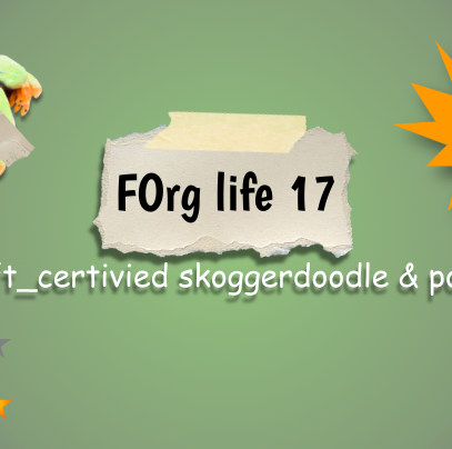 FOrg life 17